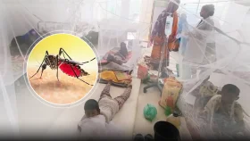 হামের মধ্যে চোখ রাঙাচ্ছে ডেঙ্গু