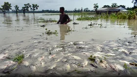পানি কমছে, আসছে অর্থনীতির নতুন চাপ