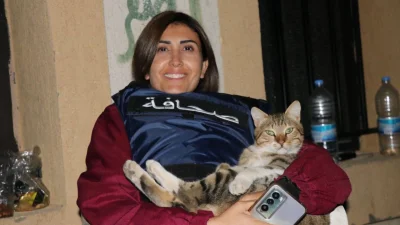 আমাল খালিলের লিংকডইন প্রোফাইল থেকে নেওয়া ছবি