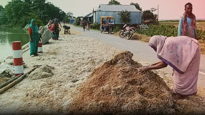 সরকার ক্ষতিগ্রস্ত কৃষকদের আগামী তিন মাস সহায়তার প্রতিশ্রুতি দিয়েছে।